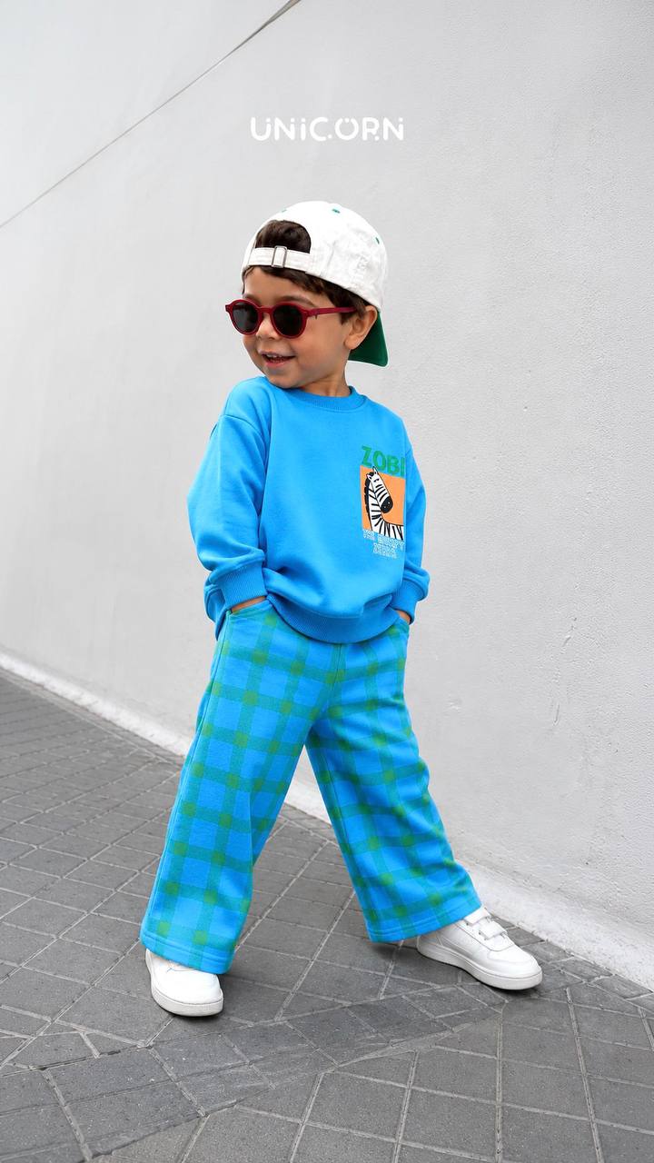 Zebra mavi erkek çocuk takım