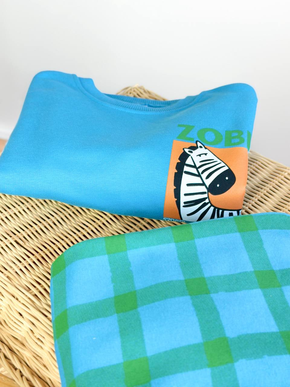Zebra mavi erkek çocuk takım