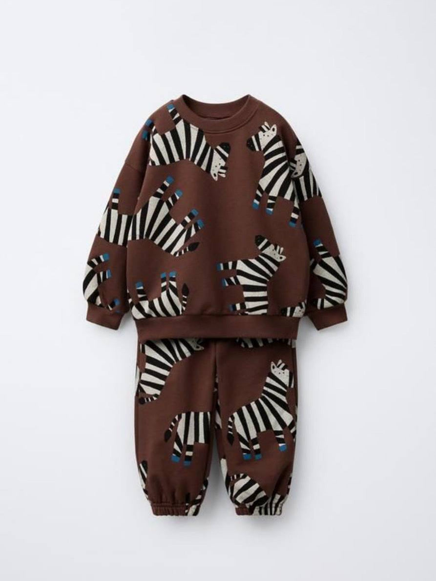 Acı kahve zebra model